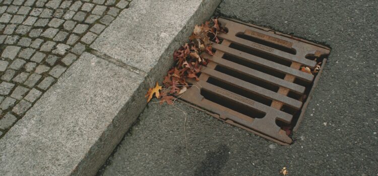 The Long-Term Impact of Ignoring Minor Drainage Problems The Long-Term Impact of Ignoring Minor Drainage Problems